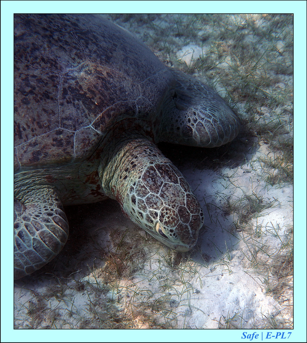 2016 - 07 - Leng Tengah - 090